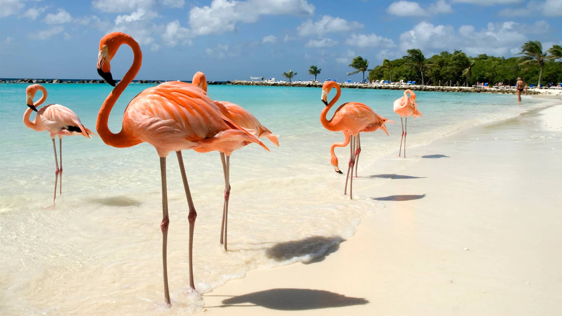 Aruba
