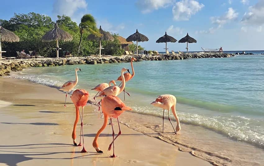 Aruba