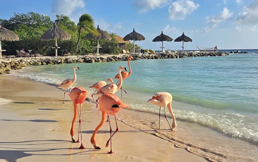 Aruba