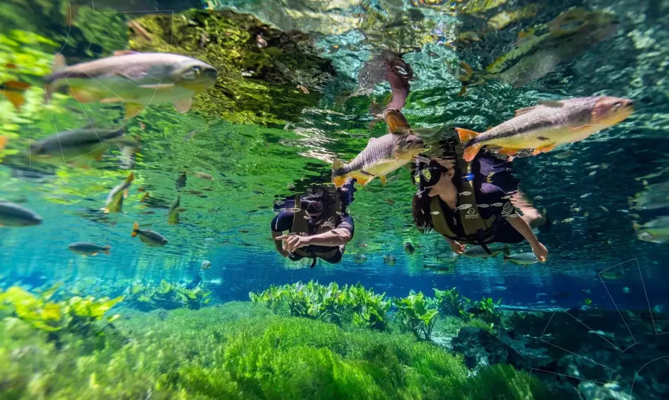 Bonito MS além das flutuações: 5 experiências para incluir na viagem