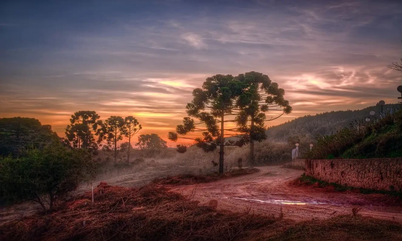 Monte Verde: o que fazer nesse destino encantador da Serra da Mantiqueira