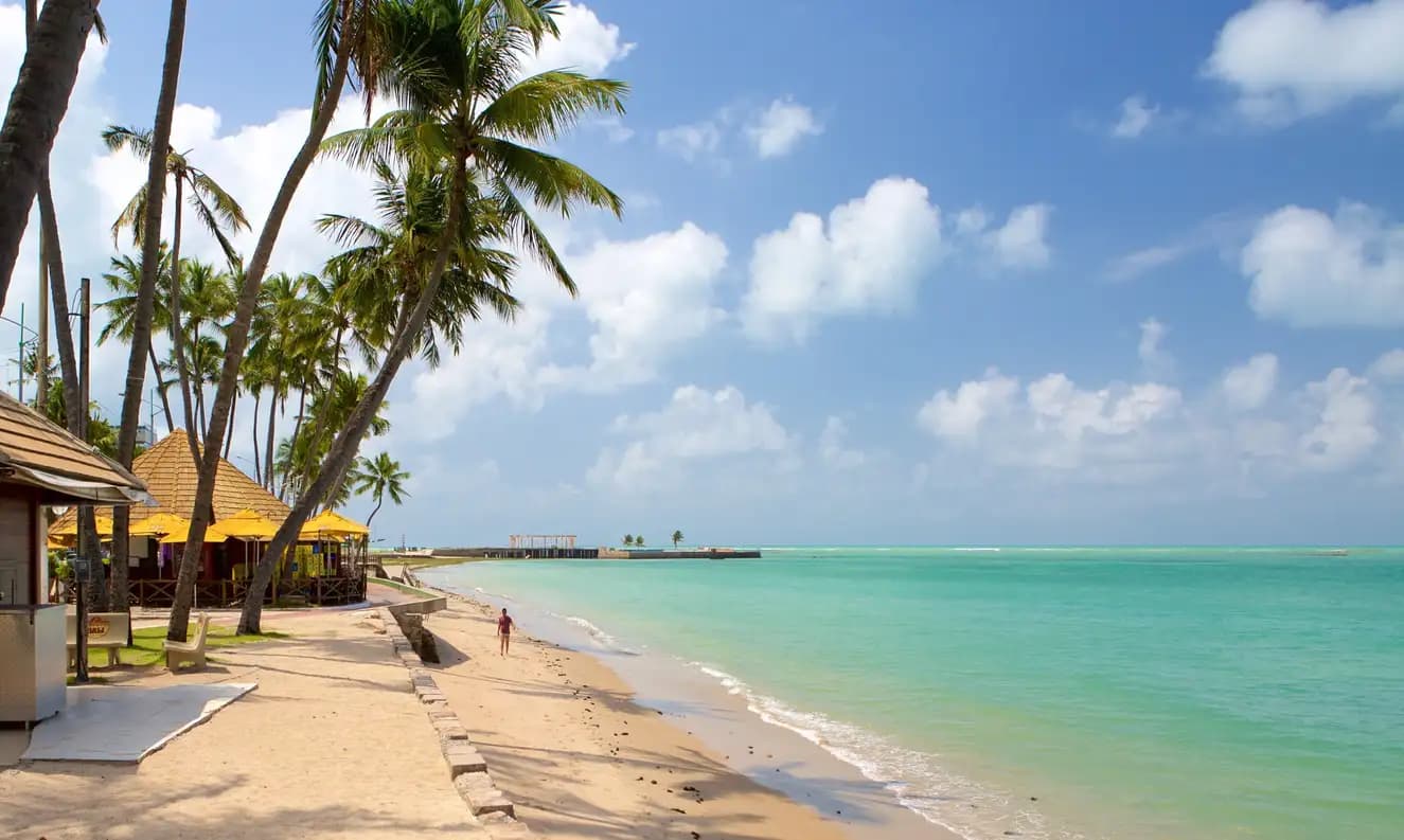 Quando viajar para Maceió? Descubra a melhor época para aproveitar as praias