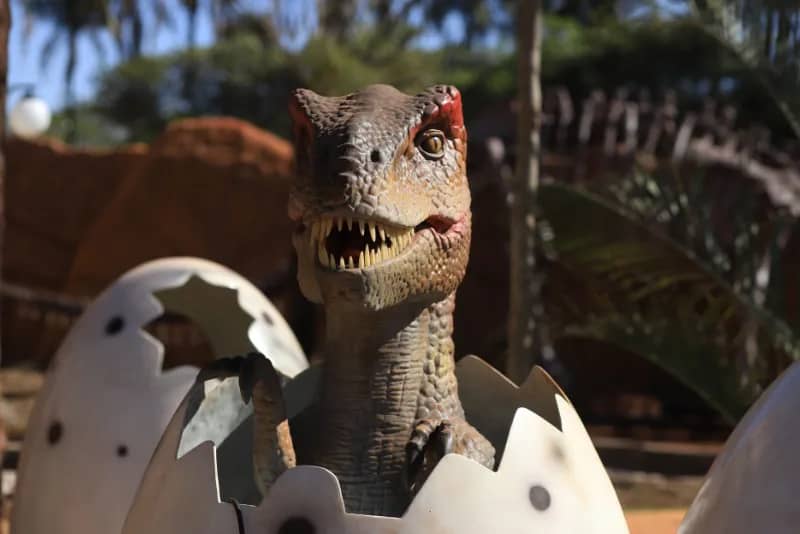 Foto do velocirapitor no Vale dos Dinossauros